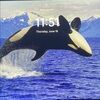 ishipboxes